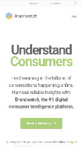 Frame #6 - brandwatch.com