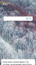 Frame #3 - bing.com