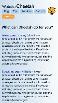 Frame #8 - websitecheetah.com